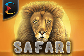 Safari